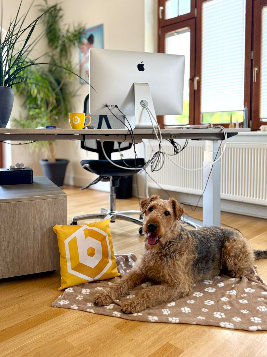 becon GmbH | we drive digital innovation (@becon) on Twitter photo Heute ist "Internationaler Bürohundtag" und wir sind wieder dabei! 🐾💛
Gemeinsam mit dem Bundesverband für Bürohunde e.V. <a href="/BV_Buerohund/">Bundesverband Bürohund e.V. Dog-In statt Burn-Out</a> setzen wir ein Zeichen für mehr #Tierfreundlichkeit am Arbeitsplatz!
Schon gelesen? ➡️ becon.de/dog-in-statt-b…
#Bürohundtag #Bürohundtag25 Heute ist "Internationaler Bürohundtag" und wir sind wieder dabei! 🐾💛
Gemeinsam mit dem Bundesverband für Bürohunde e.V. <a href="/BV_Buerohund/">Bundesverband Bürohund e.V. Dog-In statt Burn-Out</a> setzen wir ein Zeichen für mehr #Tierfreundlichkeit am Arbeitsplatz!
Schon gelesen? ➡️ becon.de/dog-in-statt-b…
#Bürohundtag #Bürohundtag25