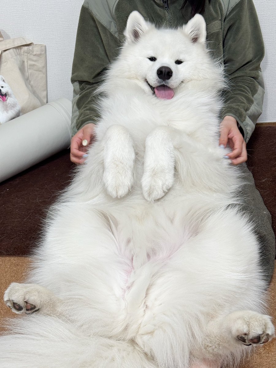 来週4歳になる僕。 中身はまだバブバブボーイ🍼🫧