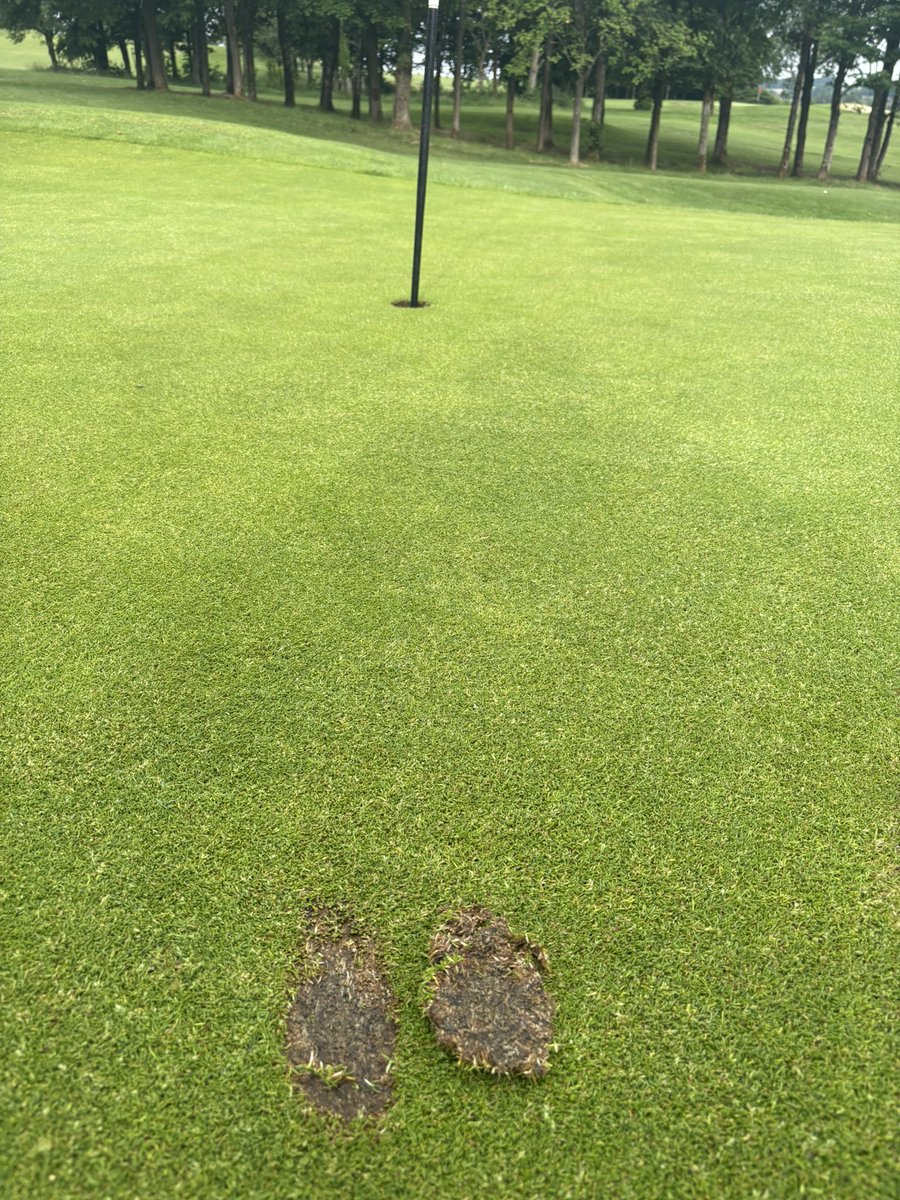 Crompton and Royton Greens tweet media