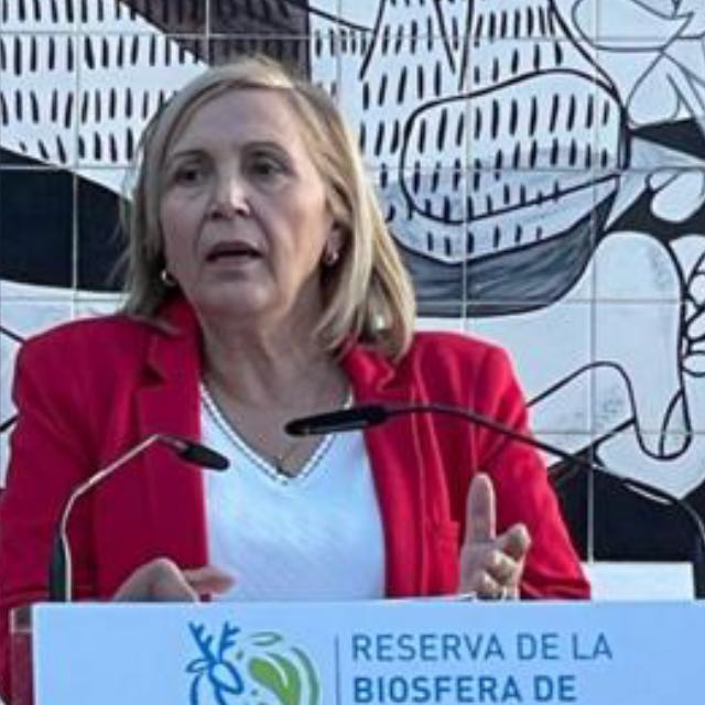 Julia Noriega tweet media