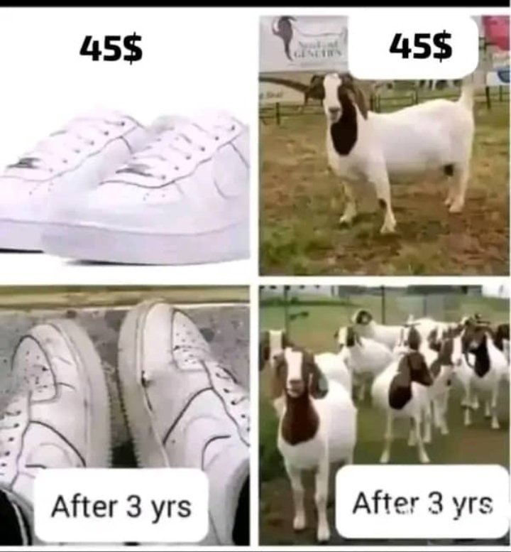 Réfléchissez avant de dépenser. 
😂😂😂😂😂😂😂😂😂😂😂😂😂