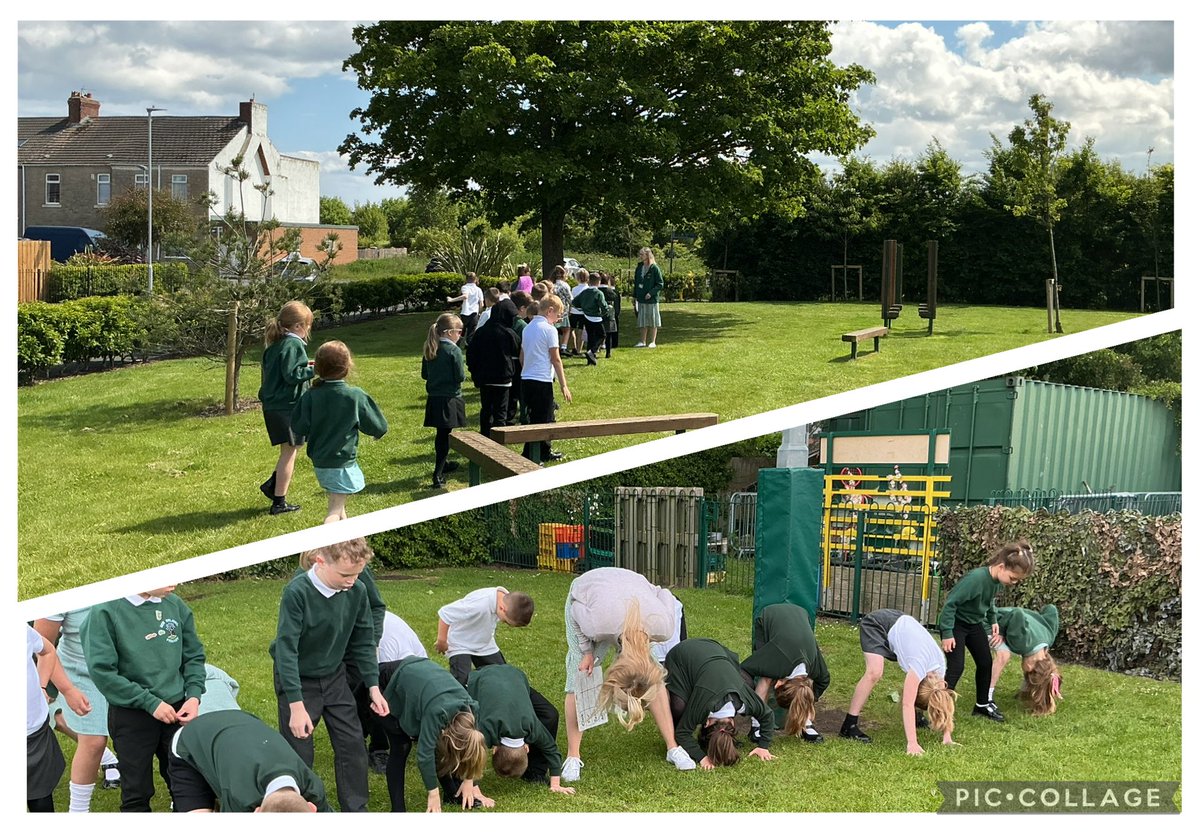 NewDelPrimary's tweet photo. Year 2 have been busy investigating trees in Science @royal_forestry #GreenTreeBadge . We measured the height of some of our local trees in strides and explored which living things make trees their habitat. π³π² https://t.co/7oDZq1fwYV