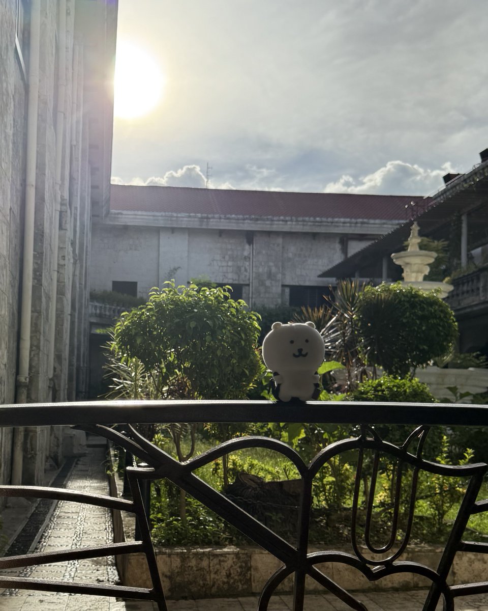 🐻‍❄️🌤️