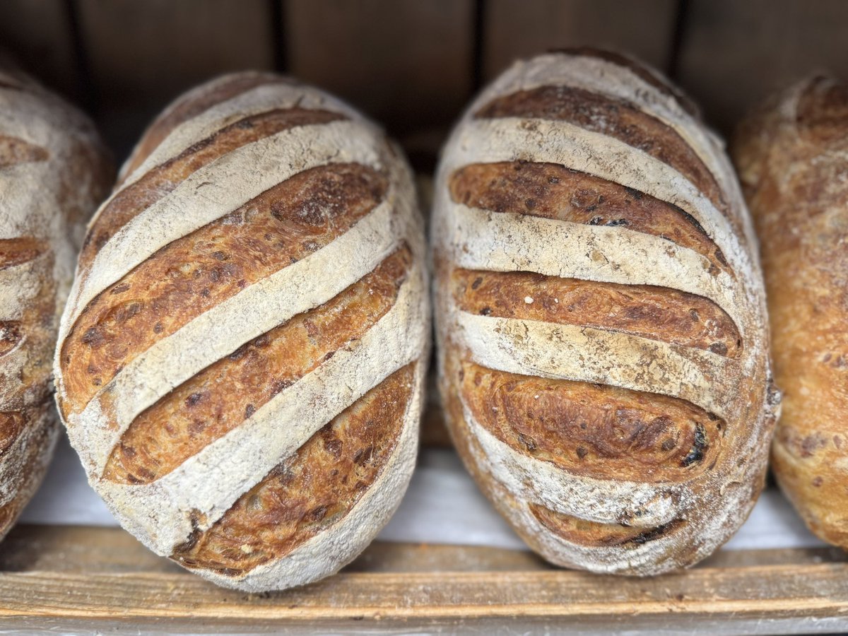 This weekends special available Friday &amp; Saturday… piquante pepper &amp; cheddar sourdough #cheese #cheddar #picquantepepper #realbread #bread #freshbread #bakery #harrogate #coldbathroad #shoplocal #homemade #shop #mannabakeryharrogate #yorkshire #food #sourdoughbread