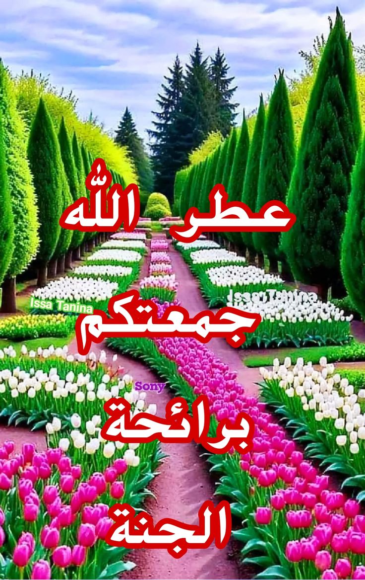 صباح الخير والسعادة 
اللهُم في صباح يوم الجُمعة إروي أمانينا بِماء جودك وكرمك، وحقق لنا الأحلام المُعلقة، وأجعلها جُمعة خير وعطاء وبركة تُزهر بِها أيامنا