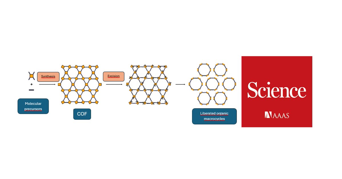 IQCC UdG (@iqccudg) on Twitter photo Check our latest work about Excision of organic macrocycles from covalent organic frameworks by
<a href="/FuertesCarles/">Carles Fuertes</a> <a href="/ribas_xavi/">xribas</a> in collaboration with Prof. Daniel Maspoch <a href="/WeAreNanoUp/">NanoUp - Maspoch Group</a> <a href="/icn2nano/">Catalan Institute of Nanoscience & Nanotechnology</a> in <a href="/ScienceMagazine/">Science Magazine</a>
#NewPaperIQCC <a href="/QBIScat_UdG/">QBIS-CAT Research Group</a> <a href="/UdGRecerca/">UdG Recerca</a>
udg.edu/ca/instituts/q… Check our latest work about Excision of organic macrocycles from covalent organic frameworks by
<a href="/FuertesCarles/">Carles Fuertes</a> <a href="/ribas_xavi/">xribas</a> in collaboration with Prof. Daniel Maspoch <a href="/WeAreNanoUp/">NanoUp - Maspoch Group</a> <a href="/icn2nano/">Catalan Institute of Nanoscience & Nanotechnology</a> in <a href="/ScienceMagazine/">Science Magazine</a>
#NewPaperIQCC <a href="/QBIScat_UdG/">QBIS-CAT Research Group</a> <a href="/UdGRecerca/">UdG Recerca</a>
udg.edu/ca/instituts/q…