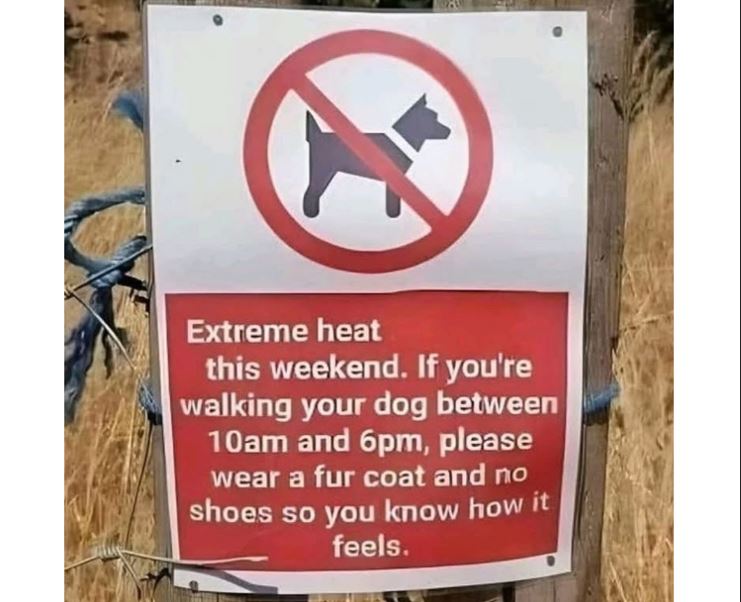 People Warned About High Temperatures As Heatwave Continues
kentnews.online/people-warned-…