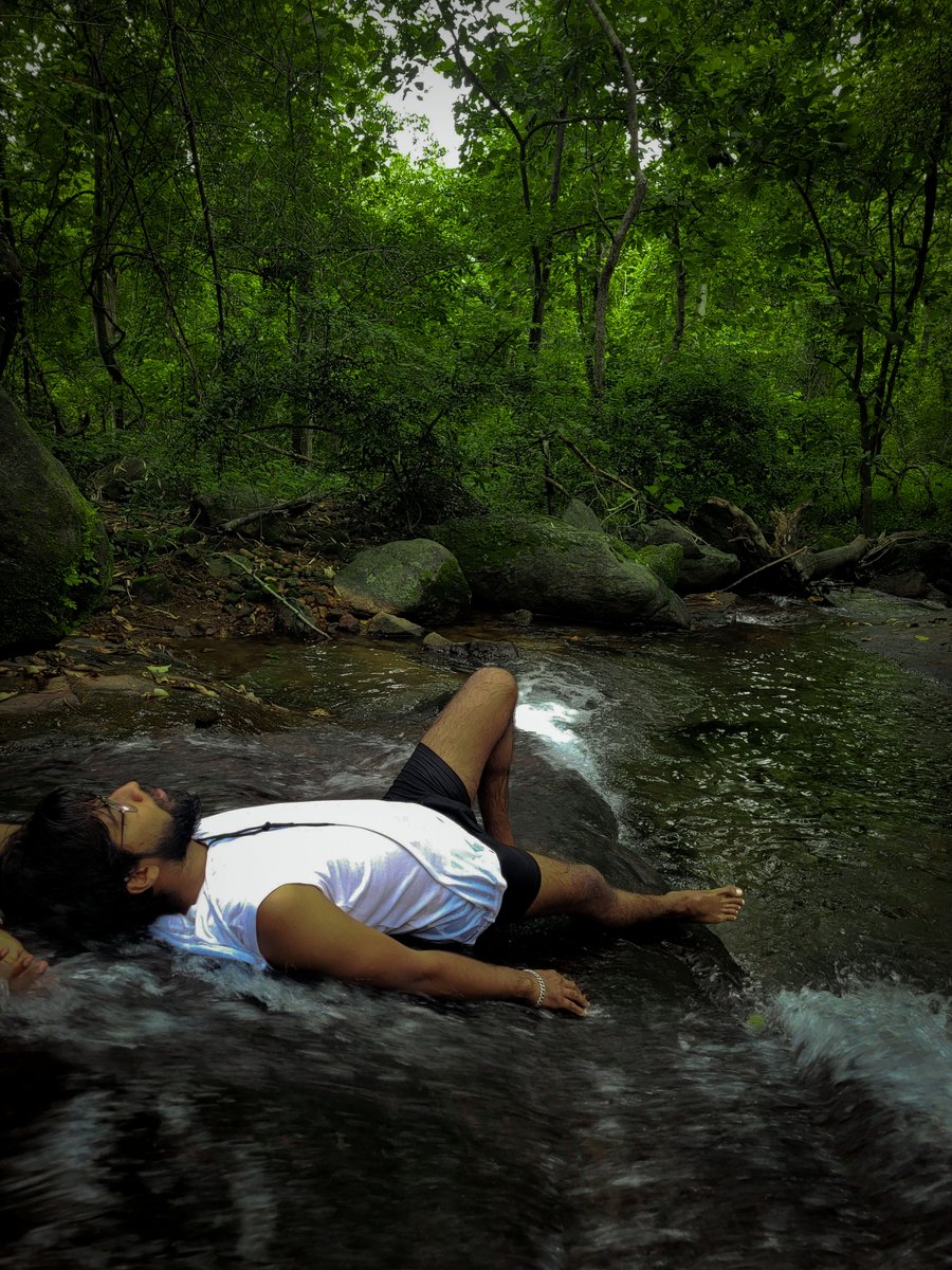 Just feel fresh!🍃
.
.
#NatureBeauty #naturelover 
#forest #travelling #wild #wildlife