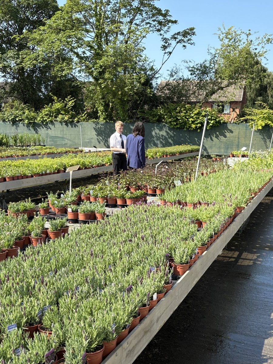 Mrs Jackson and Miss Robert's have taken some students who take part in Alternative Curriculum (outdoor learning) on a trip to Pole Green Nurseries to buy some plants, herbs and gardening supplies. Pupils have chosen their own plants to look after and watch grow.