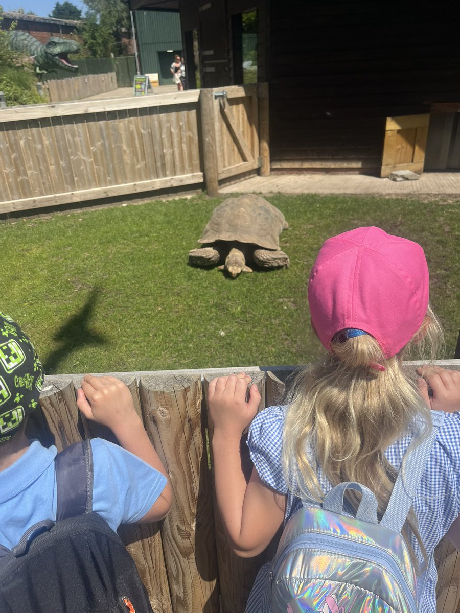 Year 2 had a fantastic day at Blackpool Zoo yesterday! We loved seeing the sea lion show and all of the amazing animals.
