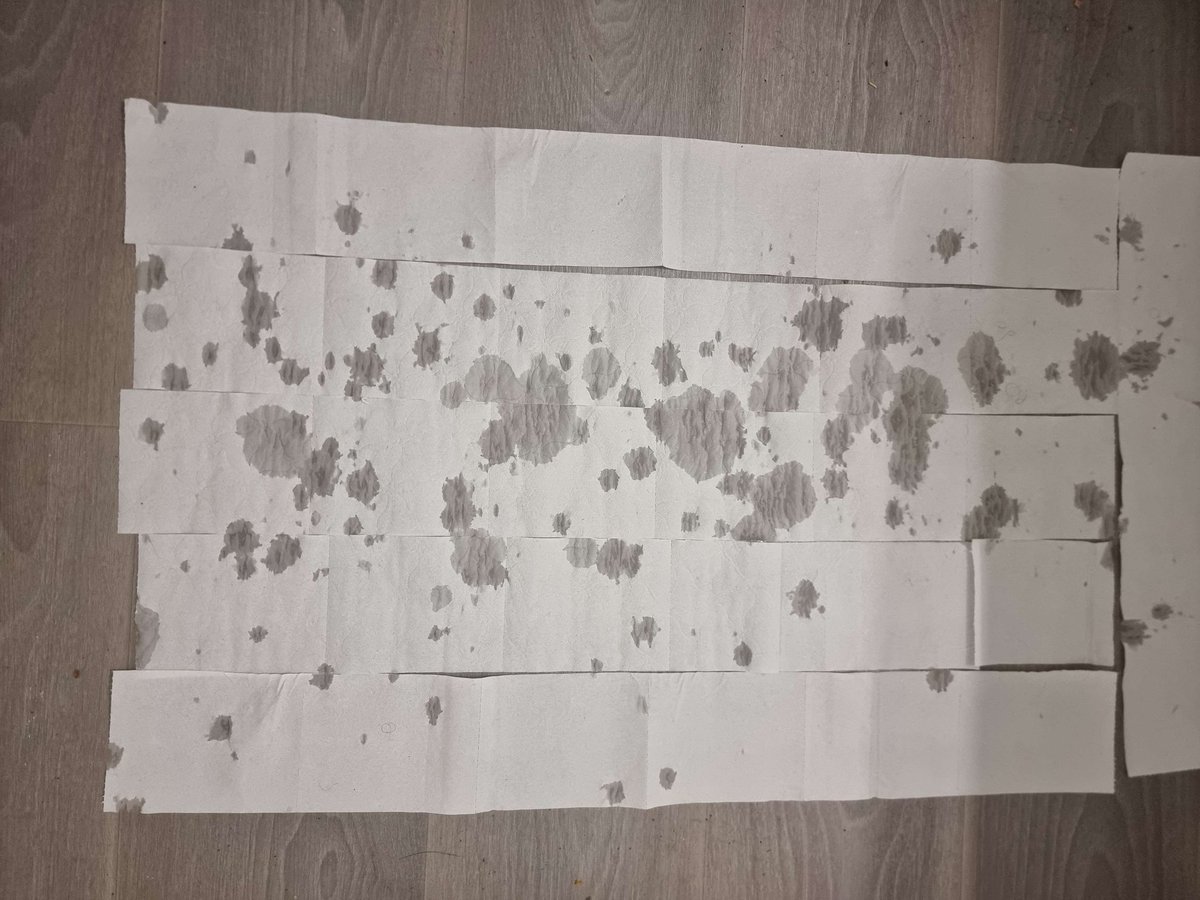 Shadowgold18 tweet media