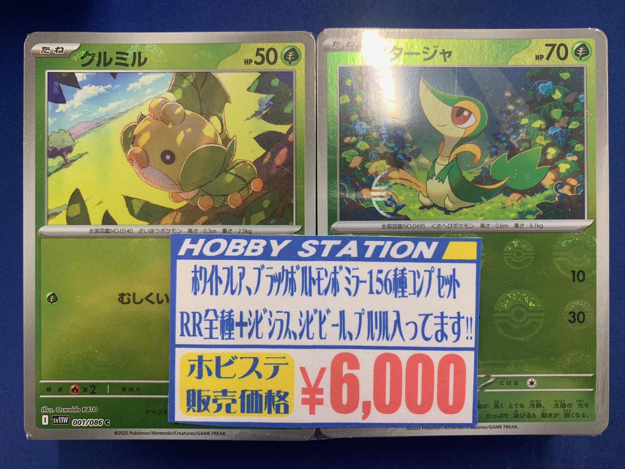 ブラックボルト　ホワイトフレア　ゾロアーク　コバルオン　シビビール　AR 31枚 ホビーステーション池袋本店＠新アカウント on X: 