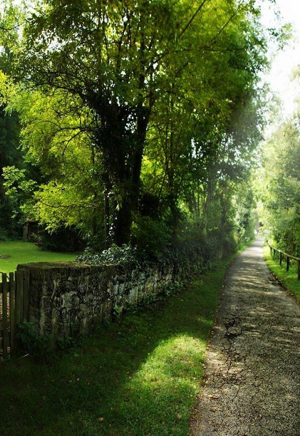 Summer is a beautiful season, especially here in Yorkshire Dale's rural areas in England, UK  🏴󠁧󠁢󠁥󠁮󠁧󠁿 🇬🇧