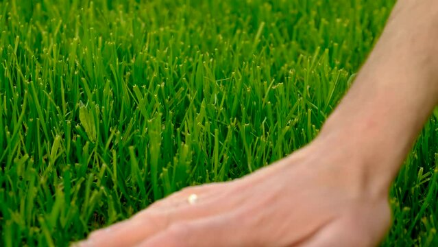 MollyAngel1101's tweet photo. #openseatouchgrass https://t.co/5oAqHA6oFg
