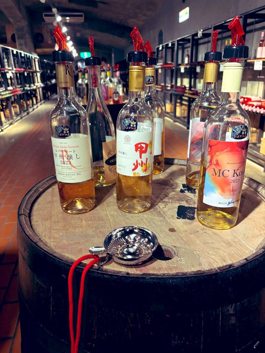 🍷甲州市勝沼ぶどうの丘🍷𝓙𝓪𝓹𝓪𝓷 𝓦𝓲𝓷𝓮