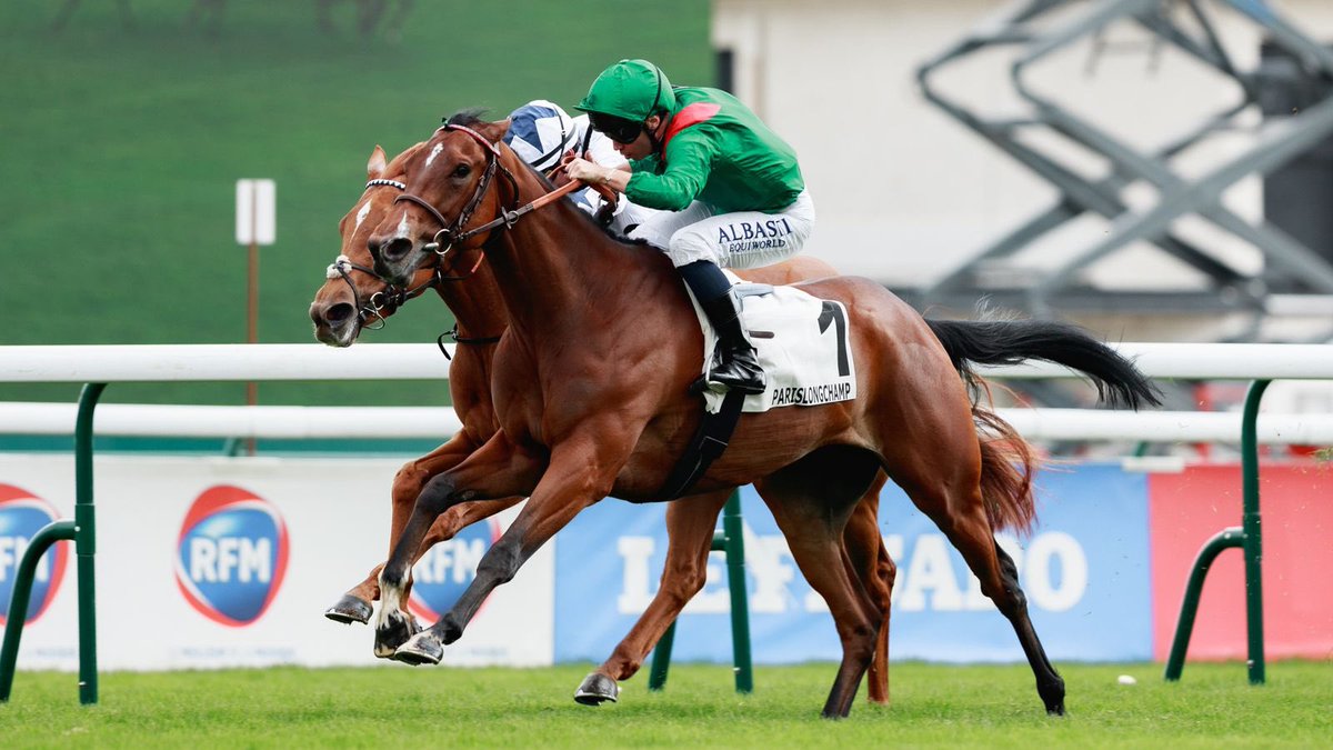 RacingGav (@racinggav) on Twitter photo ๐จ CASH GIVEAWAY! ๐ท ๐จ
Signora, Shadow Of Light & Zarigana!
If this short priced trio win today at Royal Ascot, Iโll give ยฃ250 to one lucky person who enters!
To enter: -
๐ธLike & Repost ๐๐ป๐
๐ธFollow <a href="/RacingGav/">RacingGav</a> & <a href="/BetCoUK/">Betting.co.uk</a>
๐ธTag a friend! ๐๐ผ
Good luck! ๐ค๐ป
#RoyalAscot ๐จ CASH GIVEAWAY! ๐ท ๐จ
Signora, Shadow Of Light & Zarigana!
If this short priced trio win today at Royal Ascot, Iโll give ยฃ250 to one lucky person who enters!
To enter: -
๐ธLike & Repost ๐๐ป๐
๐ธFollow <a href="/RacingGav/">RacingGav</a> & <a href="/BetCoUK/">Betting.co.uk</a>
๐ธTag a friend! ๐๐ผ
Good luck! ๐ค๐ป
#RoyalAscot