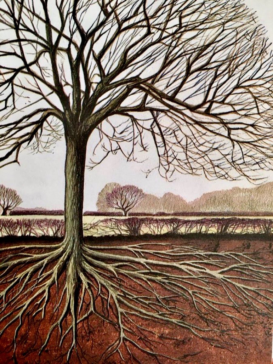 Pictures that explain things. 

"Roots of a tree spread as far below ground as the branches do above"

(The Tree and its World, 1975)
Artist: David Palmer