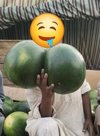 محاولات تطور البطيخ في أن يصبح بطيz
😅😅😅