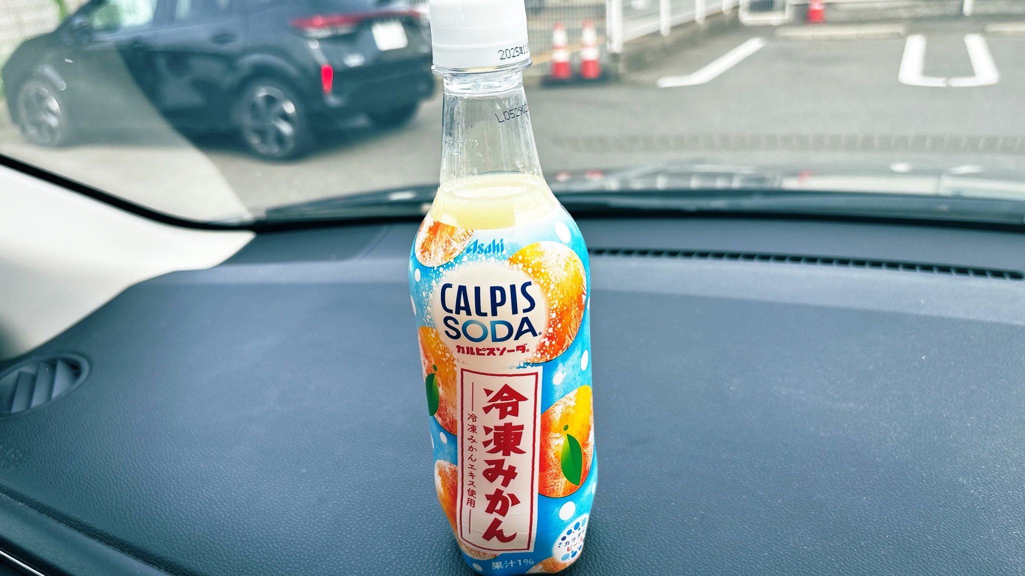 非売品】カルピスソーダ学園 応援曲 アート・デザイン・音楽