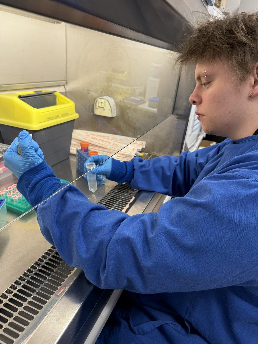 Oxidant and Inflammation Biology group tweet media