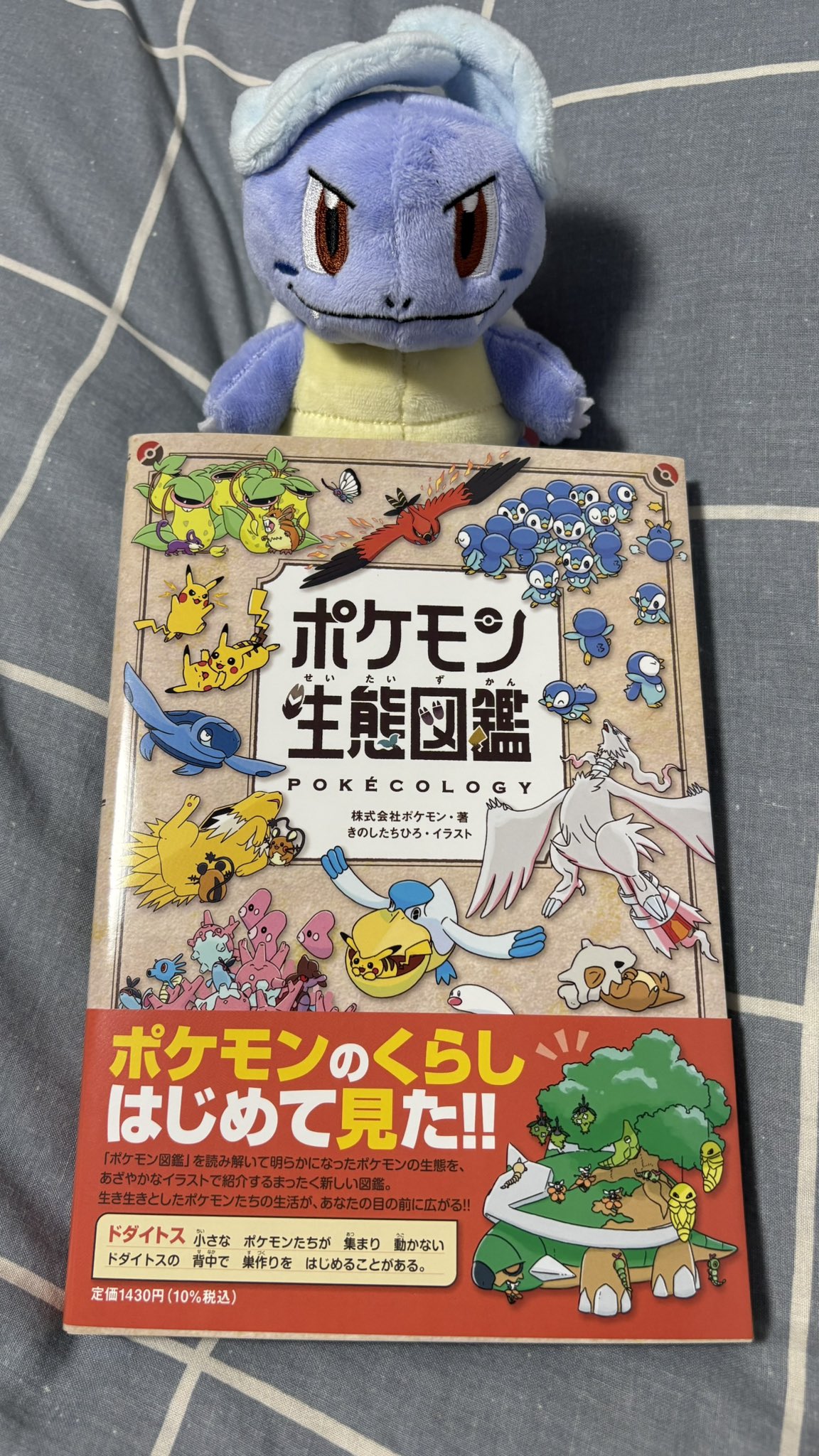 カメキング #黒砂金亀 | HOSAKIN LURES