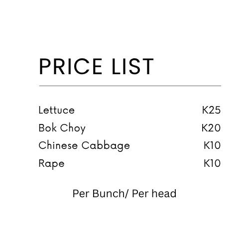 Hello there! By the way I can deliver to lusaka on minimum orders of atleast 10. 
Please share thank you!