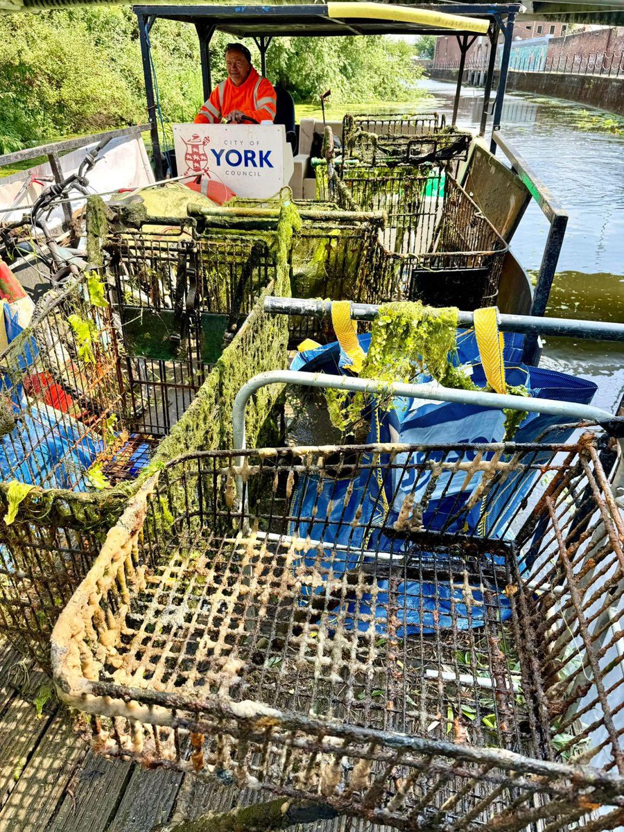 𝑹𝒊𝒗𝒆𝒓 𝑭𝒐𝒔𝒔 𝑺𝒐𝒄𝒊𝒆𝒕𝒚 tweet media