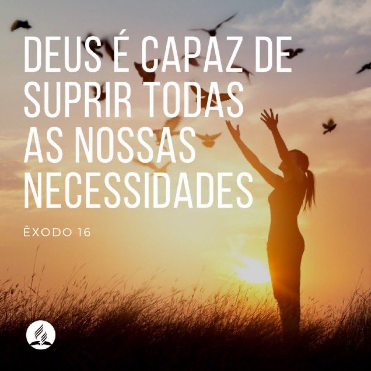 #Ex15|”O Senhor é a minha força e a minha canção; ele é a minha salvação! Ele é o meu Deus, e eu o louvarei; é o Deus de meu pai, e eu o exaltarei!” #rpSp