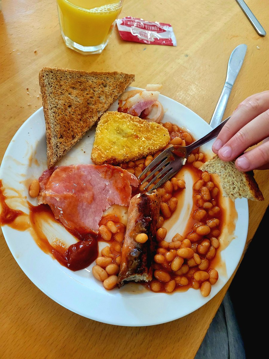 The Hedgehogs slept very well and we are now fuelling up for a morning of den building, shopping and playing! 🦔