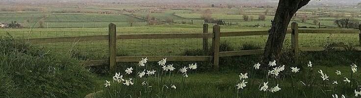 الإستشفاء ؛ هو إدراك الإنسان أن الهدف من الحياة ليس النجاة فقط ولكن الإزدهار