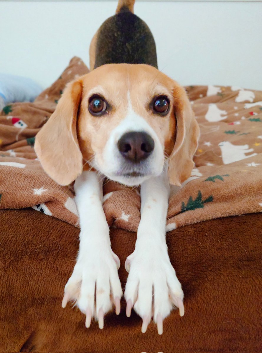 さぴ (@k_sapiiiii) / Posts / X