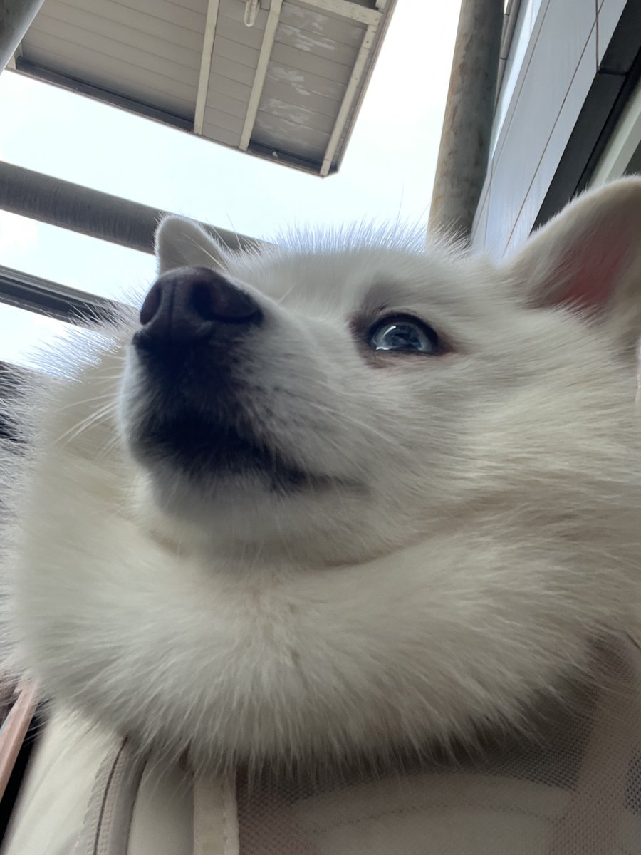 목털 둥둥이.. 다들 비 조심하세요☔️