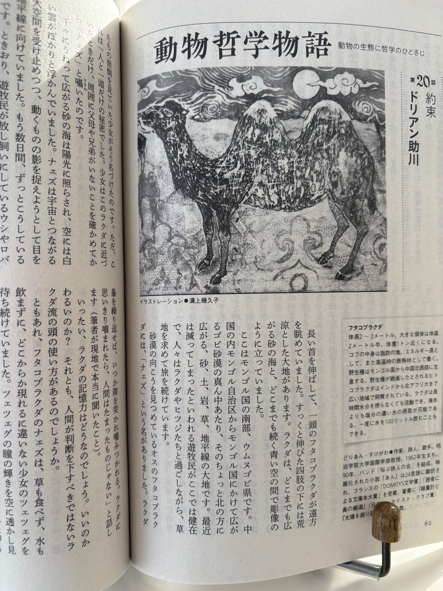 【未開封・見本盤】ドリアン助川(叫ぶ詩人の会)／はじめ人間ゴン＊バビブベビンビン 未開封・見本盤】ドリアン助川(叫ぶ詩人の会)／はじめ人間ゴン