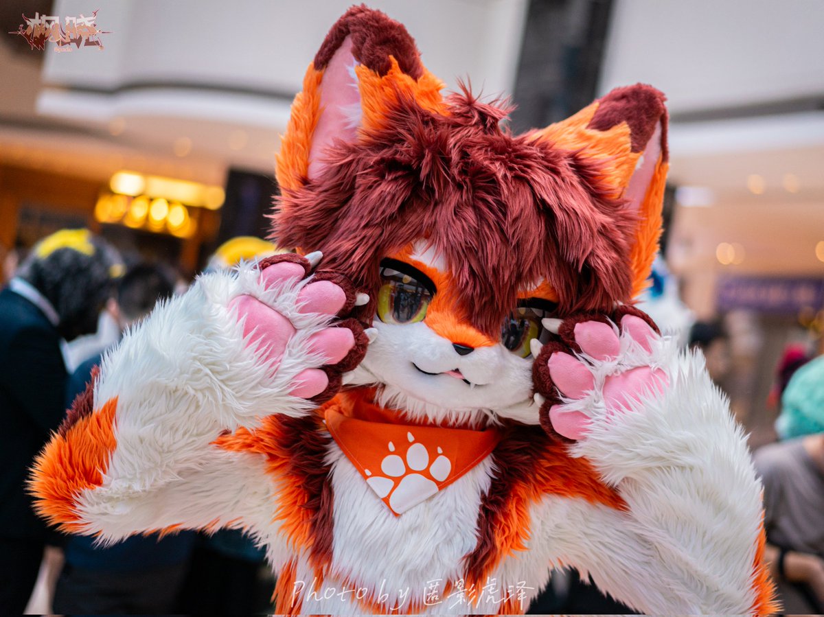 枫晓Spade tweet media