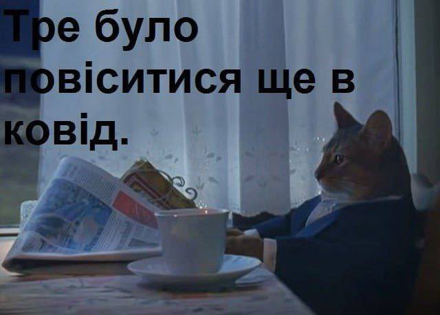 bromemss's tweet image. 