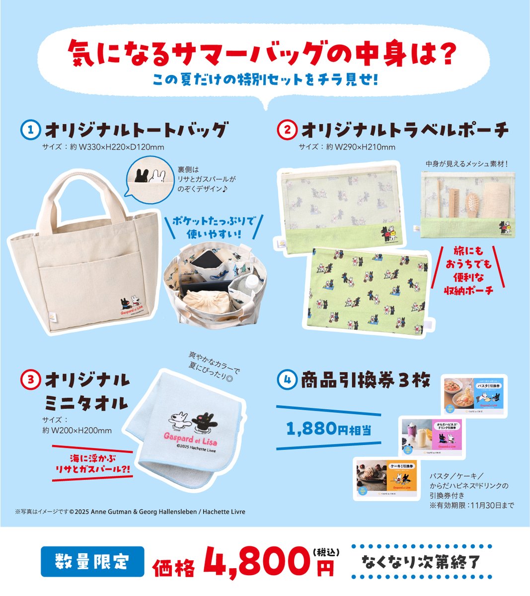 andmary 非売品　プラチナ会員特典　バッグ 48997-117-