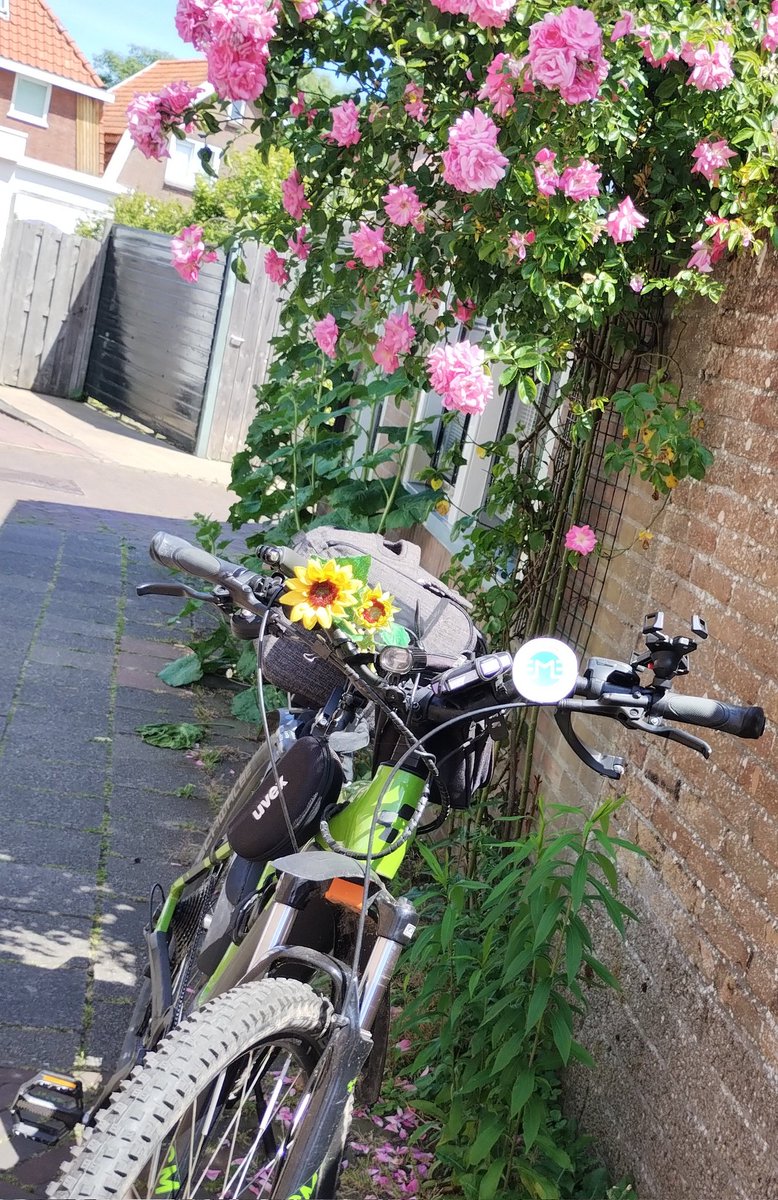 Merhaba @mobixwallet ailesi!

Hafta sonu başlıyor. Araba anahtarlarını bırak, çevreci sürüş yap, ödül topla! 
Eko aracınla fotoğraf paylaş, <a href="/MOBIX_Turkiye/">MOBIX Türkiye</a> etiketle. 
#moveGreen 🚴‍♂️🚲🚵🛴🛹🛼