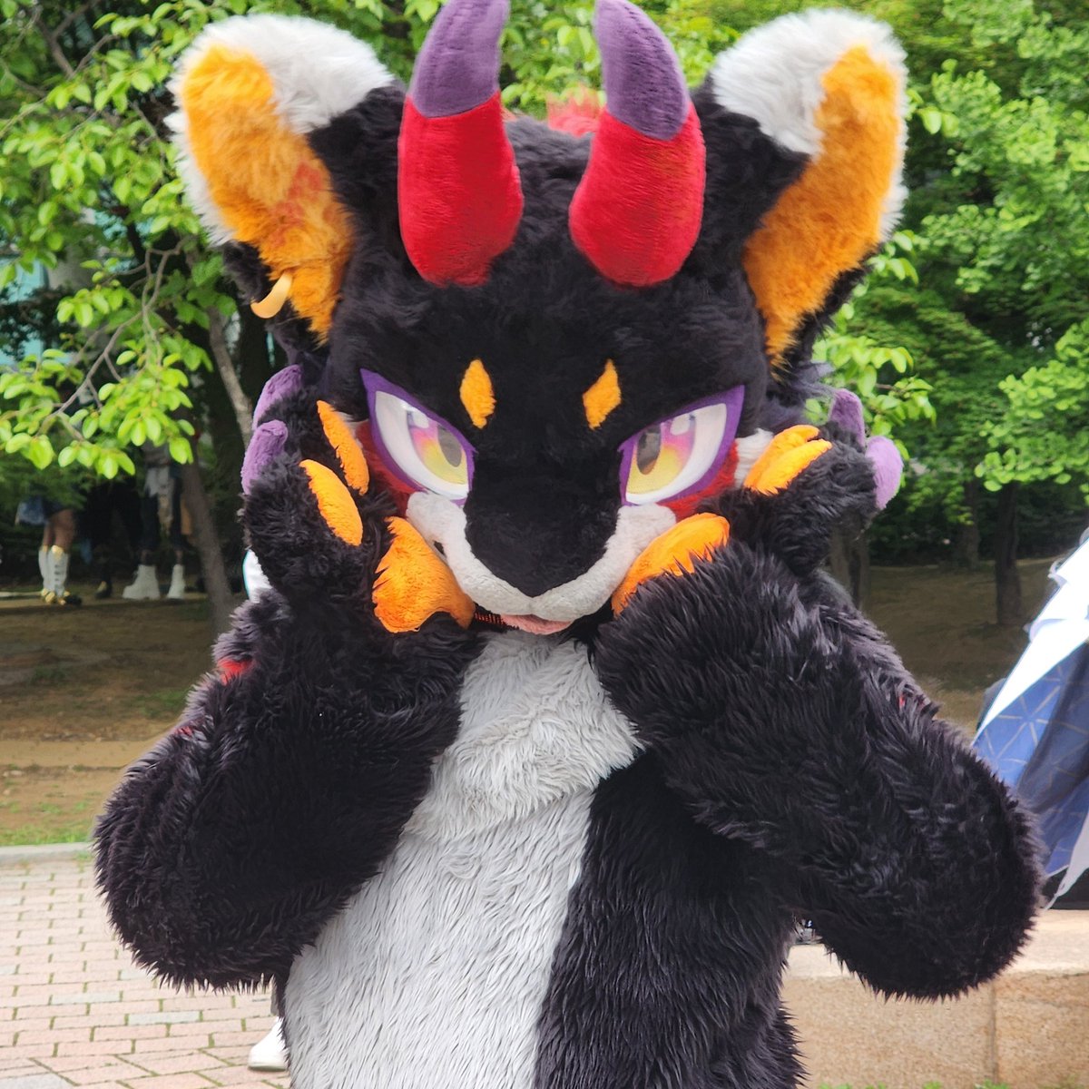 루리(Ruri)🛫Kemoket📚🇯🇵 tweet media