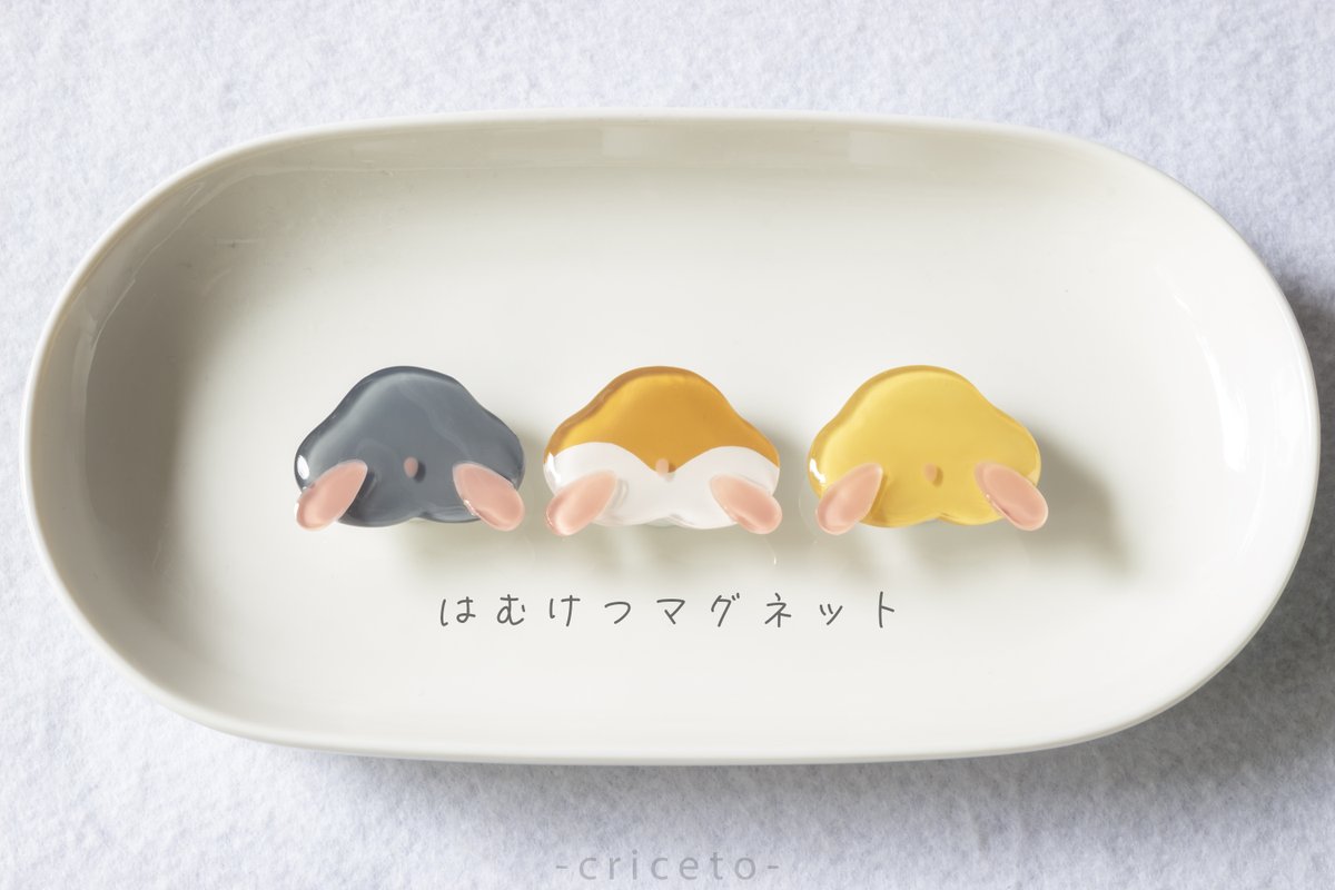 criceto_craft's tweet image. はむけつマグネットがリニューアルしました🙌シリアン組さんとドワーフ組さんそれぞれ3匹で1セットです。はむけつ好きのみなさまどうぞよろしくお願いします☺️
ご購入はこちらから⇩ (メルカリ/ラクマ)
profu.link/u/criceto
#ハムスター
#ハンドメイド