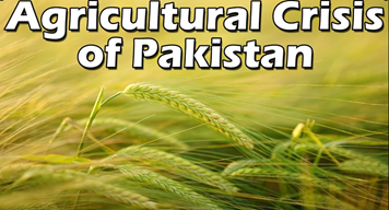 reshma_nai29942's tweet image. 📉 The slow death of #Pakistan’s farms
▪️ 60% of irrigation water lost
▪️ Massive decline in rice &amp;amp; wheat output
▪️ Farmers protest, government sleeps
This is sheer systemic collapse.
#FoodEmergency
#PakistanCollapse