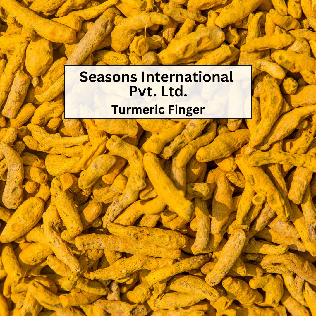 pvt_seasons's tweet photo. SEASONS INTERNATIONAL PVT. LTD. offering #turmeric
📦 Jute Bags – 25 Kg
🚢 20 FT=18 MTS/40 FT=27 MTS
📲+919460994689, +919302658185
📧 sales@seasonsinternational.in | info@seasonsinternational.in
Top Exporters of #TurmericFinger #Curcuma #Kurkuma #Zerdeçal #Kunyit #ขมิ้น #Khamin https://t.co/Uw1wXASv3Q