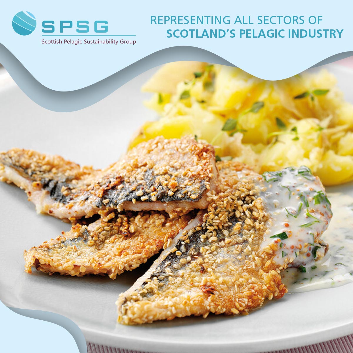 Scottish North Sea herring is such a nutritious and tasty fish, which holds the Marine Stewardship Council ecolabel confirming the sustainability of the fishery

spsg.co.uk/#herring

#herring #HealthyEating #HeartHealthy #Omega3Rich #EatMoreFish #My2aWeek