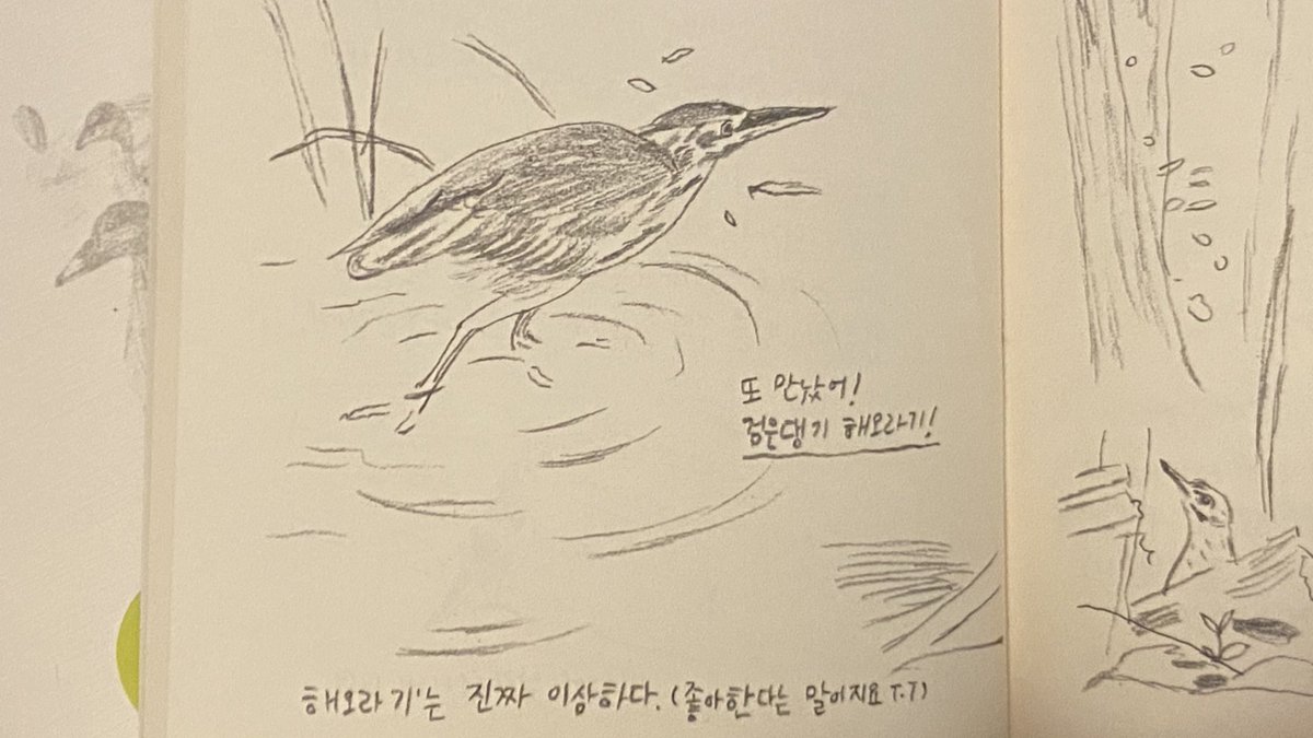 도서전에서 여기서부터 여기까지 다 주세요 해봄. 솜프레스의 <새소식> 넘후 아름답지 않나요? 탐조인이라면 공감할 만한 글들도 가득함.