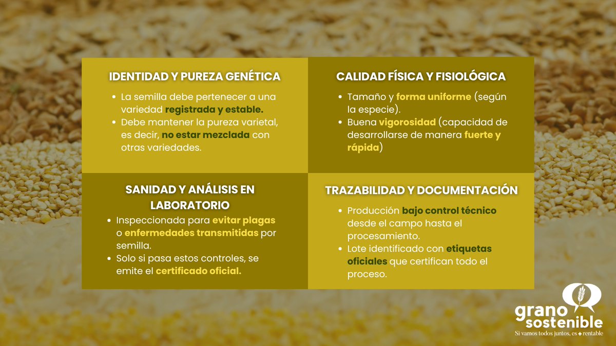 GranoSostenible's tweet image. 🌾 ¿Qué hace que una semilla sea certificada? 👇
#SemillaCertificada #GranoSostenible #AgriculturaResponsable #EligeCalidad