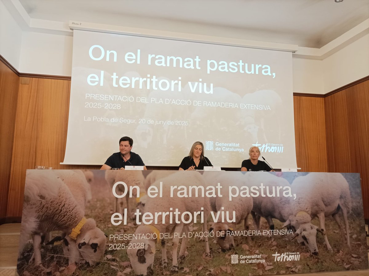 ERC Alt Pirineu (@ercpirineu) on Twitter photo Avui hem assistit a la presentació del Pla d'acció de la Ramaderia extensiva 2025-2028 🐑🐐 a la Pobla de Segur amb el diputat <a href="/BringueJosep/">Josep Vidal Bringue</a> i altres càrrecs electes del Pirineu.
‼️Sempre al costat del sector ramader de l'#AltPirineu i #Aran Avui hem assistit a la presentació del Pla d'acció de la Ramaderia extensiva 2025-2028 🐑🐐 a la Pobla de Segur amb el diputat <a href="/BringueJosep/">Josep Vidal Bringue</a> i altres càrrecs electes del Pirineu.
‼️Sempre al costat del sector ramader de l'#AltPirineu i #Aran