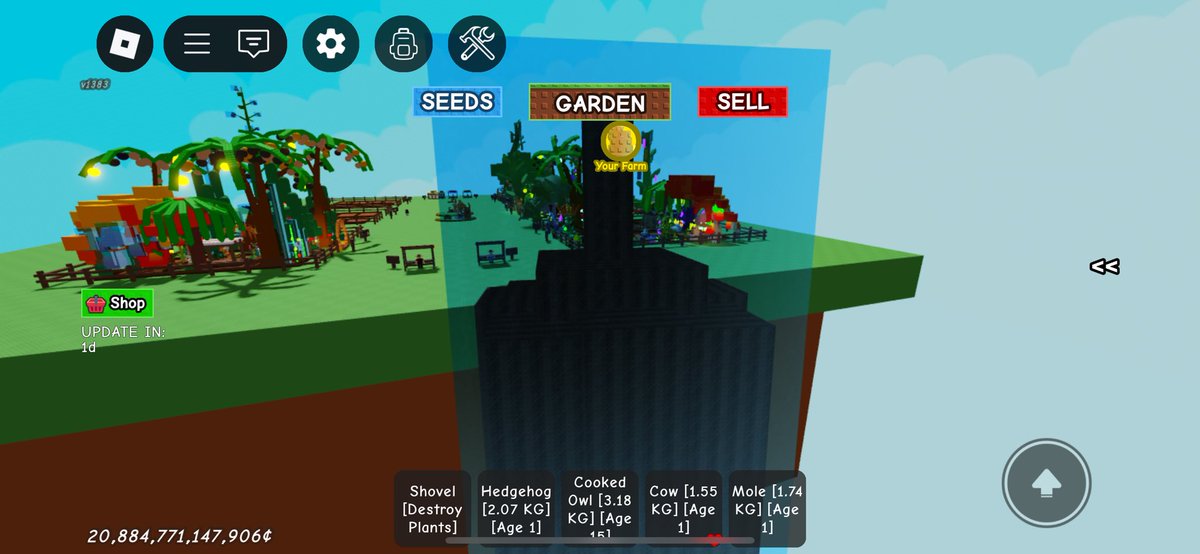 Bisa bisanya buah segede gini menghalangi kebun ku