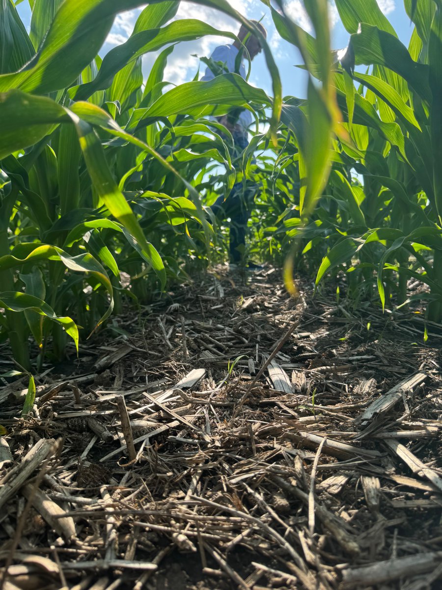 Ag Solutions Network (@power2gro) on Twitter photo The top two tools of any farmer: a shovel and shadow.
<a href="/montebottens/">Monte Bottens</a> has been putting Power2Gro Biological Crop Nutrition to work for more than 20 years. Add in soil health practices and you're building more than healthy harvests. The top two tools of any farmer: a shovel and shadow.
<a href="/montebottens/">Monte Bottens</a> has been putting Power2Gro Biological Crop Nutrition to work for more than 20 years. Add in soil health practices and you're building more than healthy harvests.
