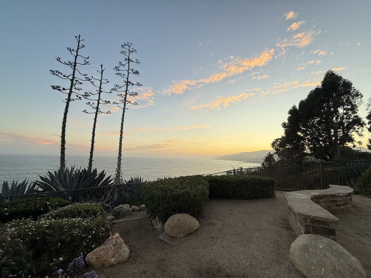 BayWestInvest's tweet image. Drove the Palisades at sunset. Hadn’t seen it yet. Oof. Heartbreaking.
Two thoughts:
Why haven’t the commercial buildings been demo’d yet? It’s been 5 months!
Huntington Park is a shockingly beautiful place to sit & reflect & get bored & scroll thru your phone.