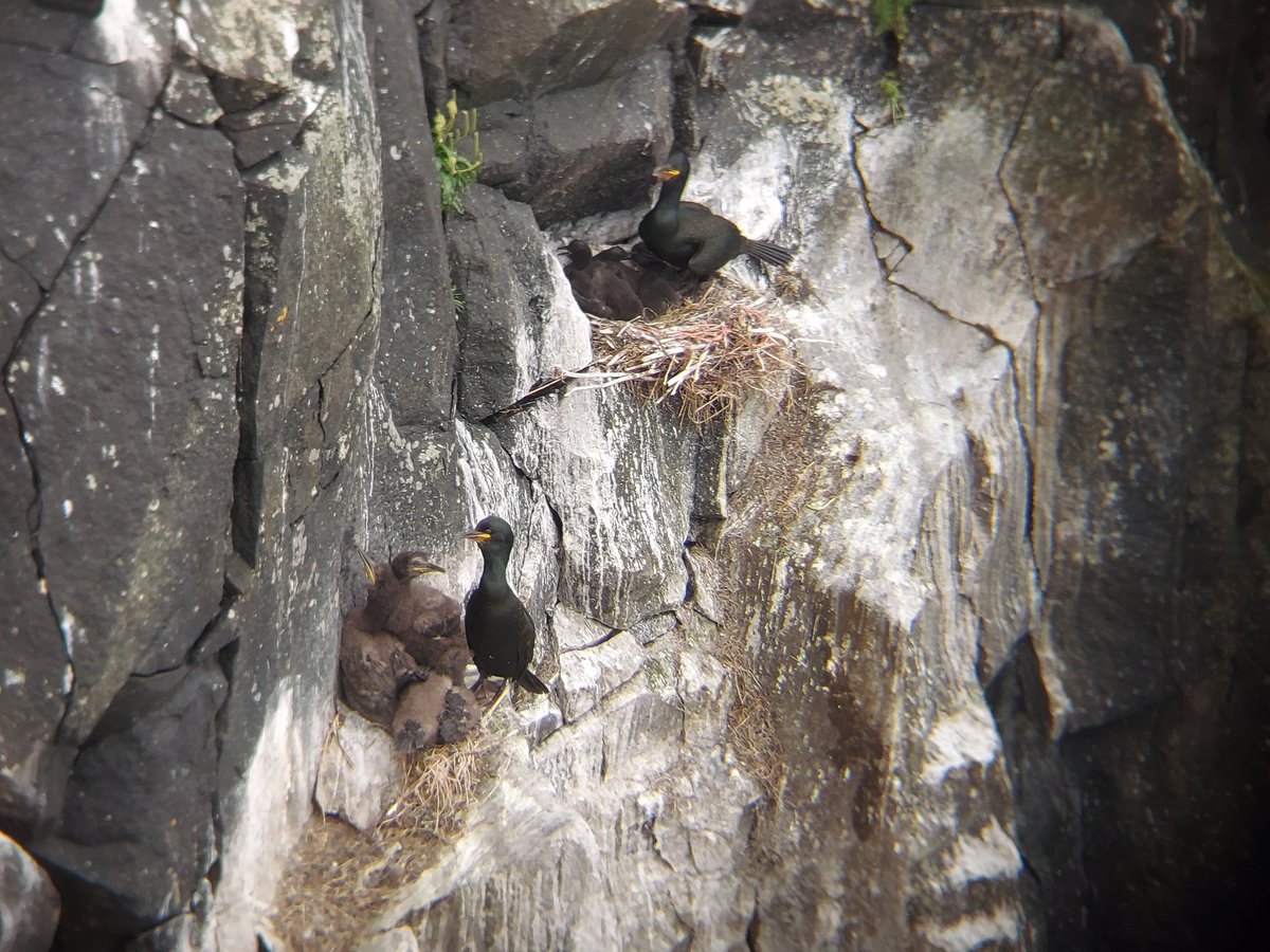 Richard Donaghey tweet media