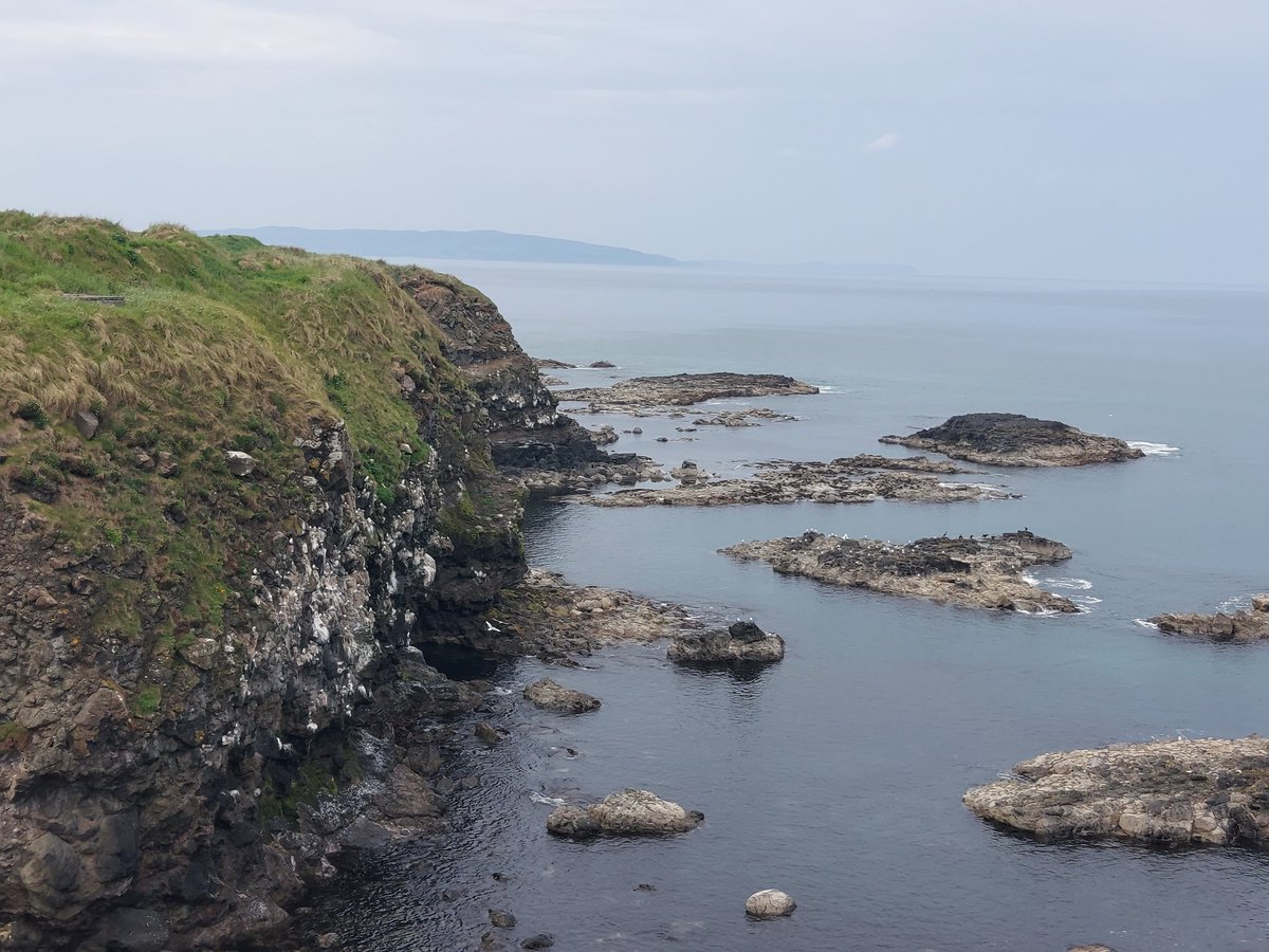 Seabird survey season on the North Coast of NI.